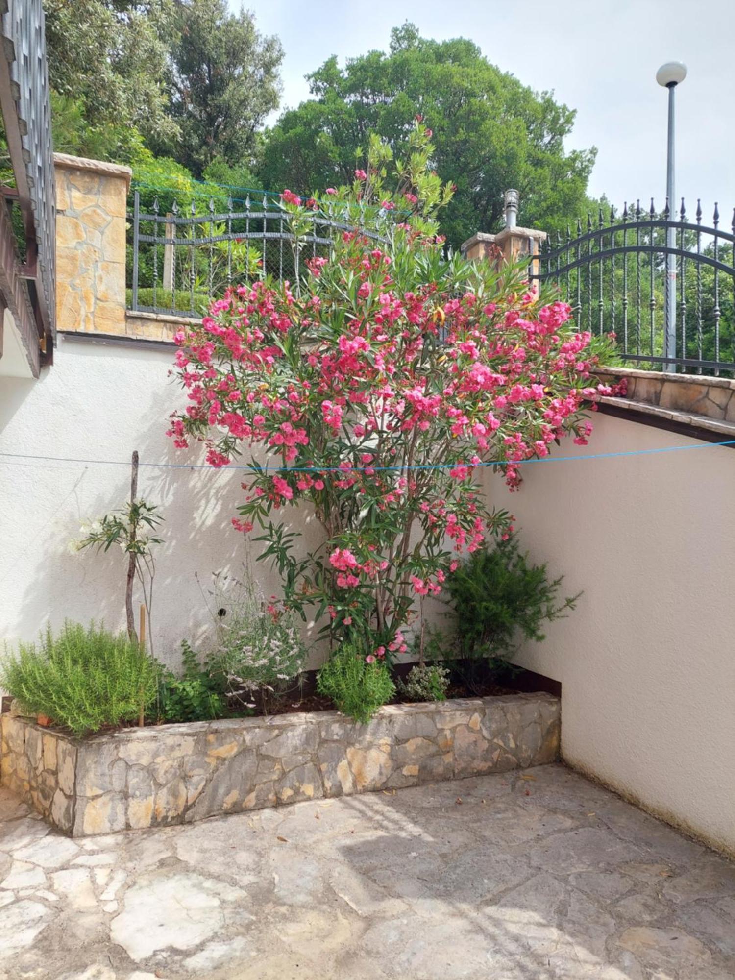 פוסדריה Apartments Delfin מראה חיצוני תמונה